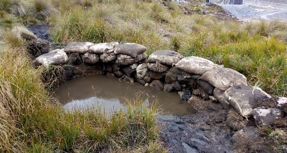 Mantenimiento de viviero y repicado de margaritas