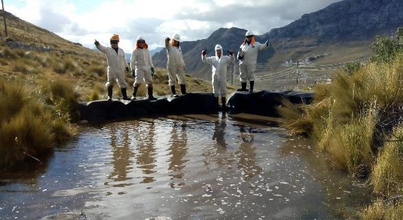 Mantenimiento de viviero y repicado de margaritas