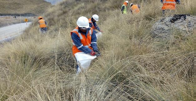 Recolección de semillas nativas